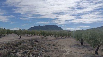 o1j8361l8os32bf6nq7170k17je1q