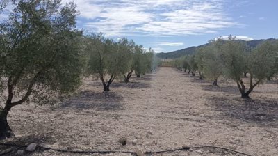 o1j8361l8or2l1idf17gd8i719ka1k