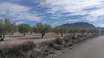 o1j8361l8o1fb41uar1vpg112o1h211m