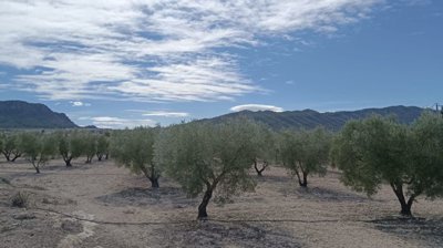 o1j8361l8onb6bgsm09rcd4d1n