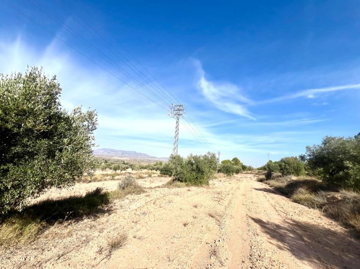 Image No.18-Country House for sale