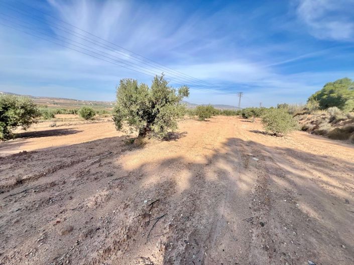 Image No.23-Country House for sale