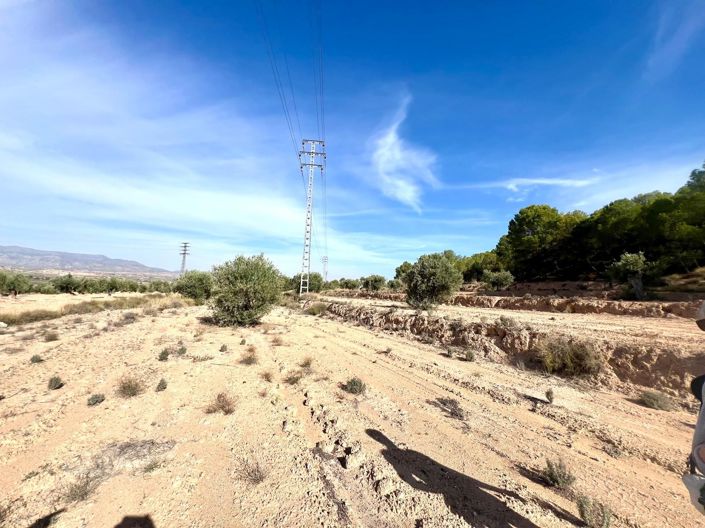 Image No.25-Country House for sale