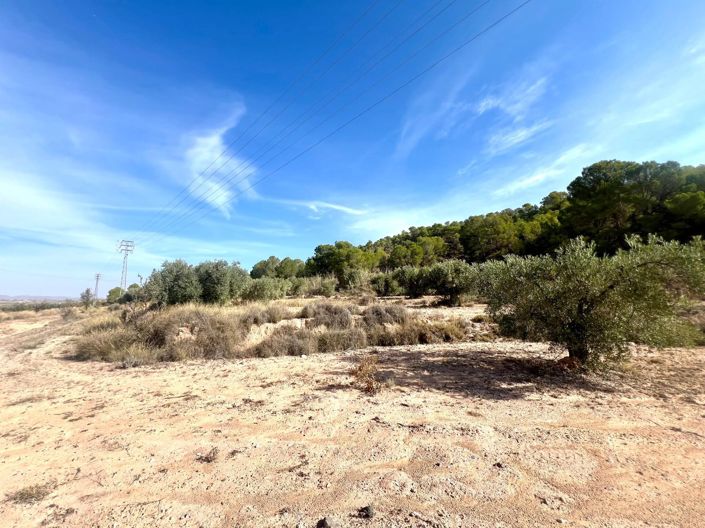 Image No.27-Country House for sale