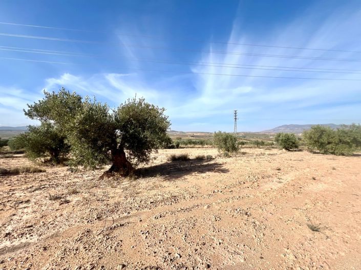 Image No.8-Country House for sale