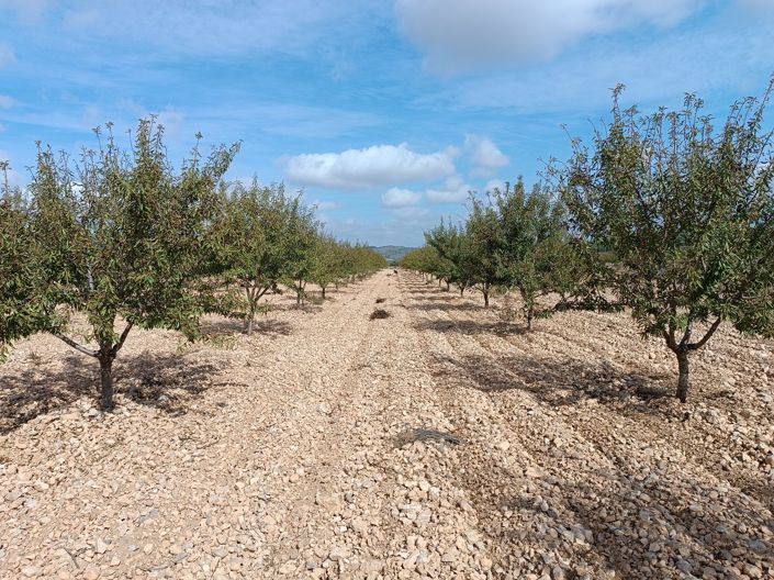 Image No.3-Land for sale