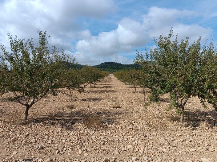 Image No.4-Land for sale