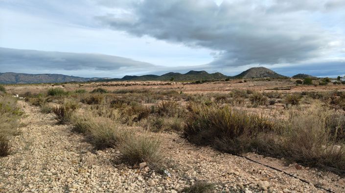 Image No.11-Land for sale