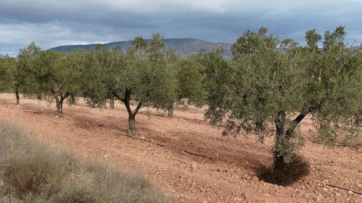 Image No.3-Land for sale