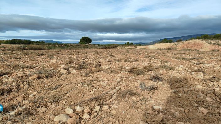 Image No.7-Land for sale