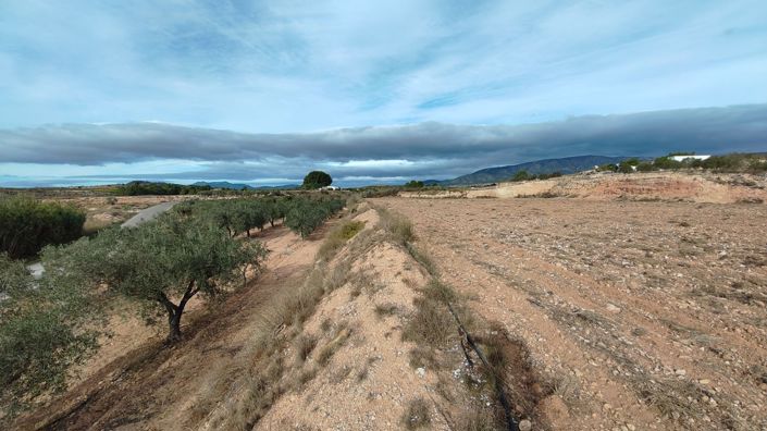 Image No.8-Land for sale