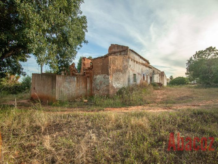 Image No.3-Plot for sale