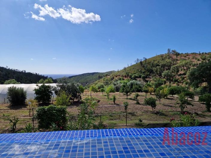 Image No.24-6 Bed Villa for sale