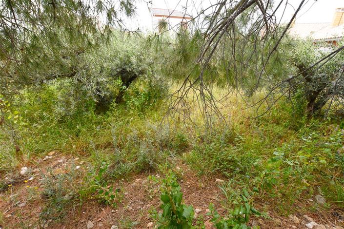 Image No.4-Property for sale