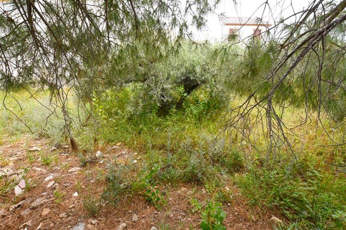 Image No.5-Property for sale