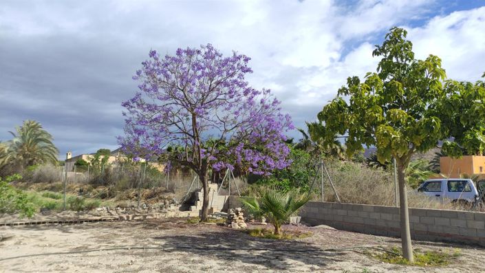 Image No.13-Property for sale