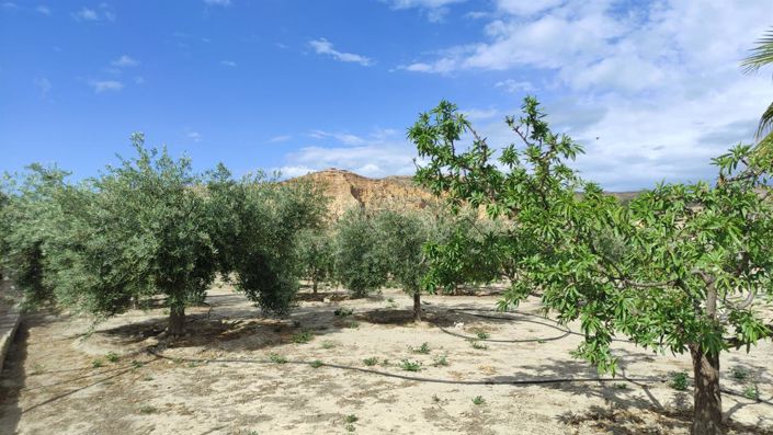 Image No.14-Property for sale