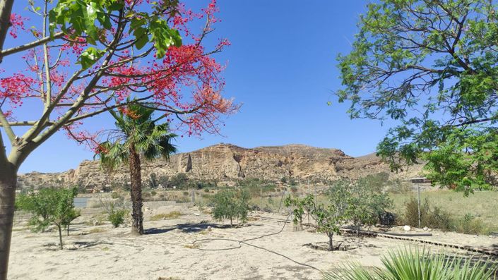 Image No.15-Property for sale