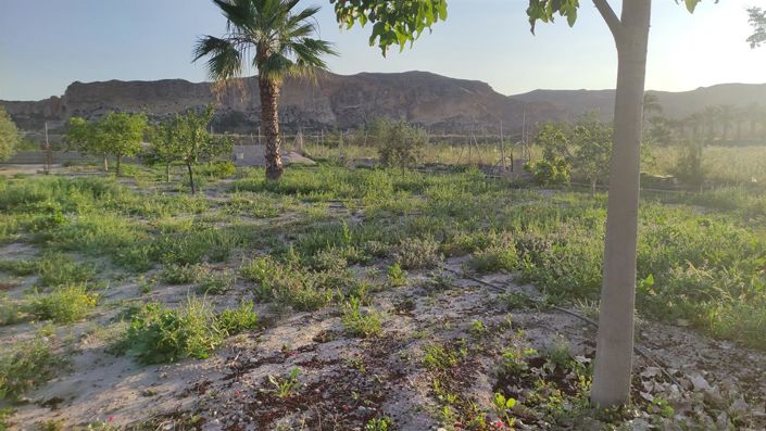 Image No.8-Property for sale