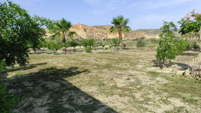 Image No.9-Property for sale