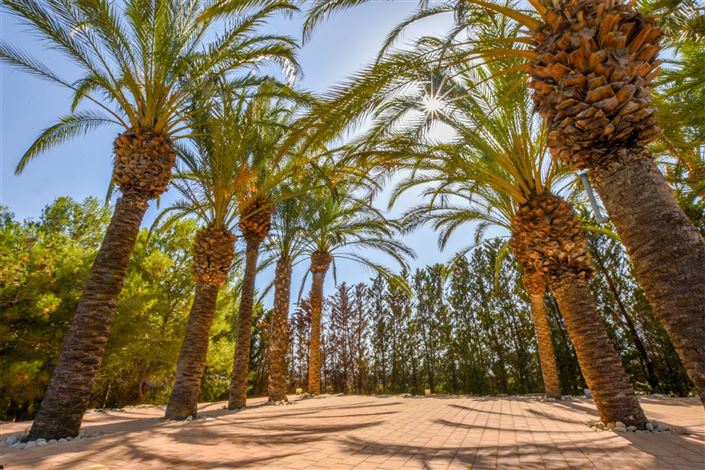 Image No.25-3 Bed Villa for sale