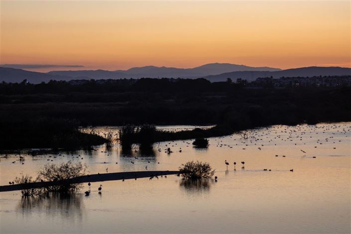 Image No.34-5 Bed Villa for sale