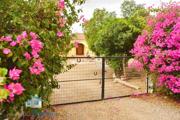 Image No.6-7 Bed Villa for sale