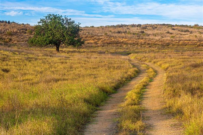 Image No.6-3 Bed Villa for sale