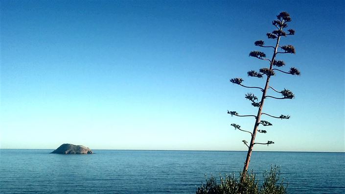 Image No.32-2 Bed Apartment for sale