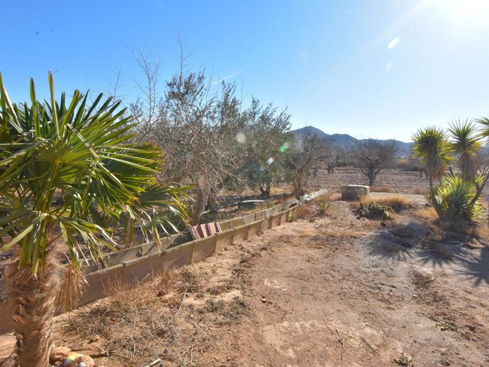 Image No.5-3 Bed Villa for sale