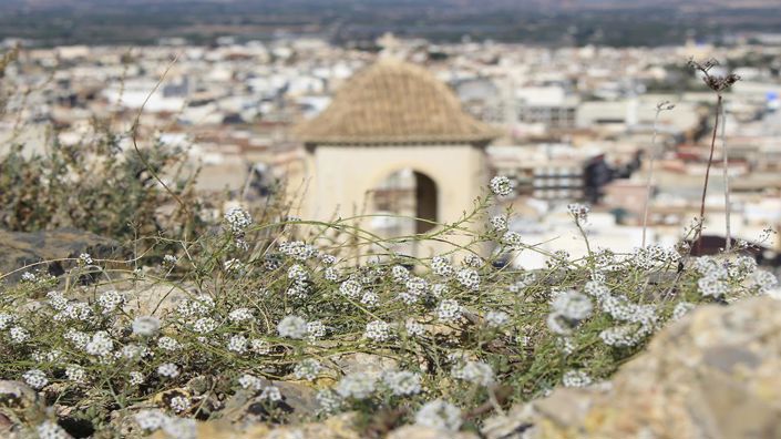 Image No.18-3 Bed Property for sale