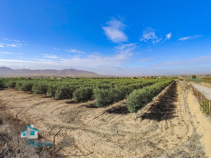 Image No.14-2 Bed Villa for sale