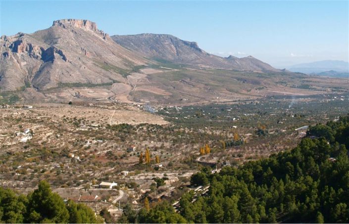 Image No.24-5 Bed Villa for sale