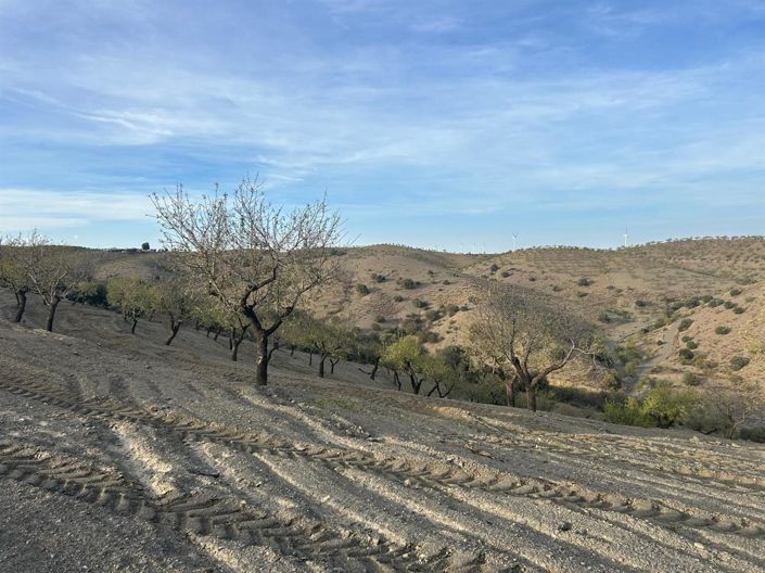 Image No.12-Property for sale