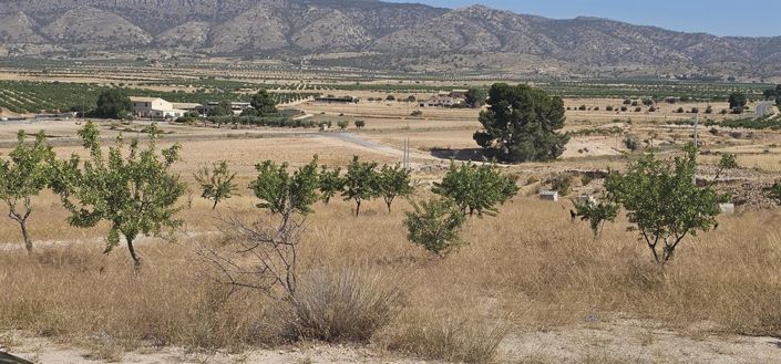 Image No.12-3 Bed Villa for sale