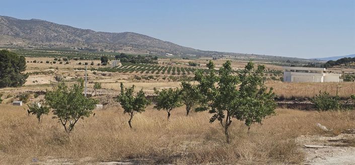 Image No.14-3 Bed Villa for sale