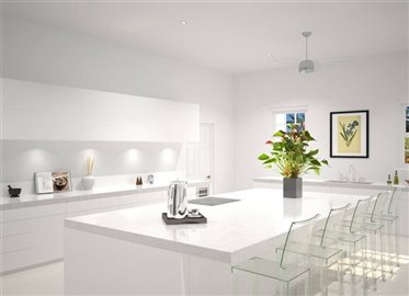 60125-callissia-3-1032x746