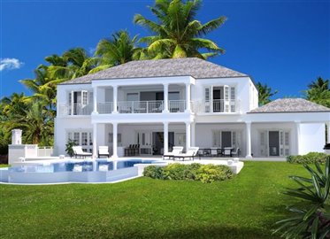 60125-callissia-1-1032x746