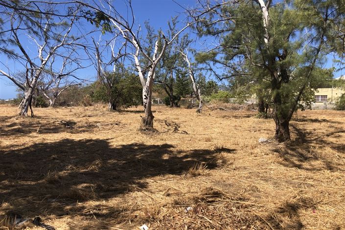 Image No.6-Property for sale