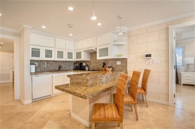 crane5141kitchena