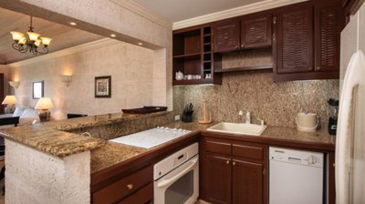 crane3720deluxekitchen