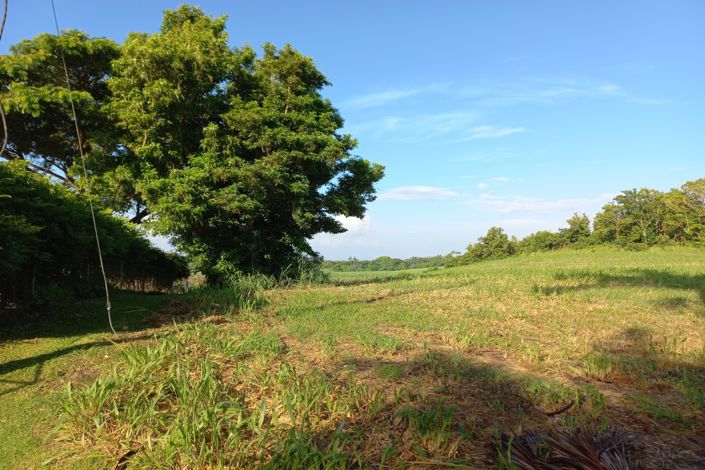 Image No.1-Property for sale