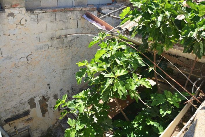 Image No.19-3 Bed Townhouse for sale