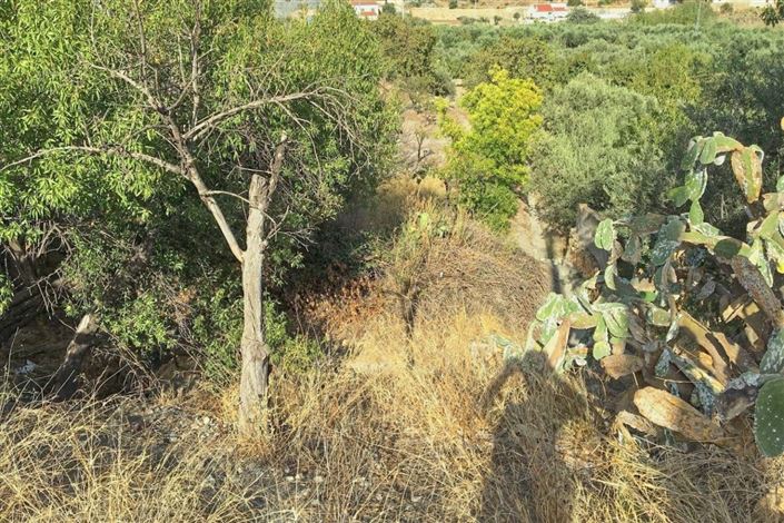 Image No.32-4 Bed Townhouse for sale