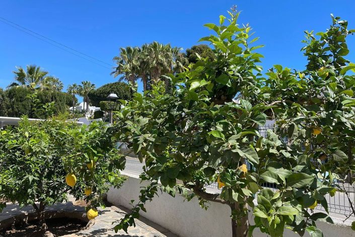 Image No.43-5 Bed Villa for sale