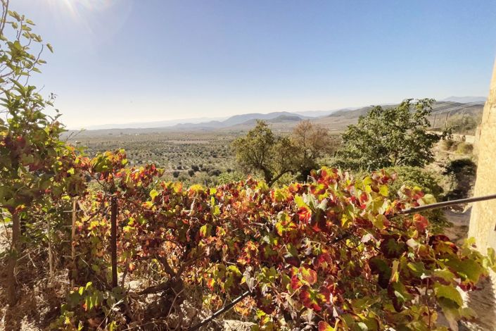 Image No.24-Country Property for sale