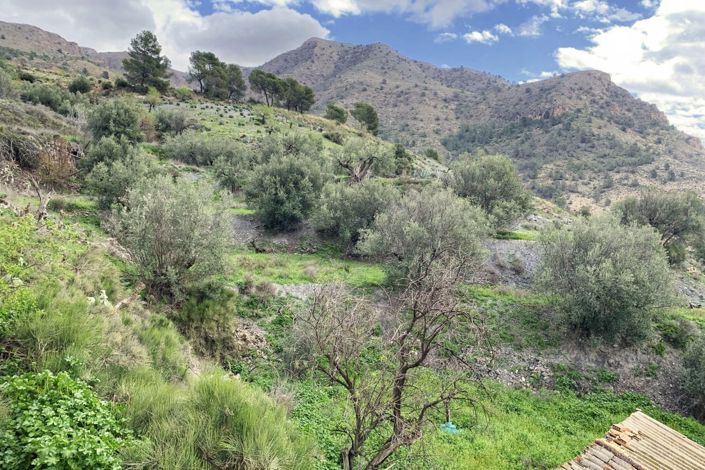 Image No.23-4 Bed Country Property for sale