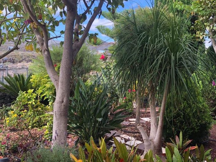 Image No.54-4 Bed Townhouse for sale