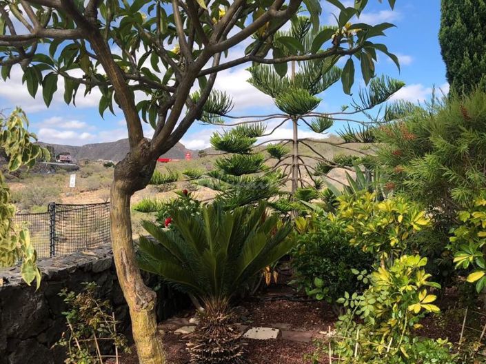 Image No.55-4 Bed Townhouse for sale