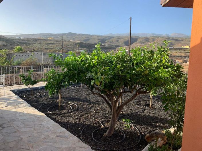 Image No.14-7 Bed Country House for sale